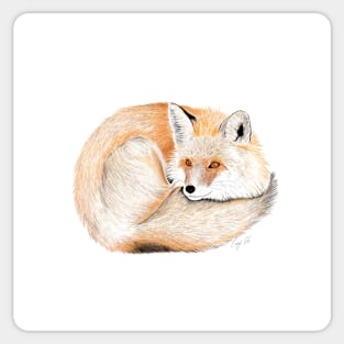 My little fox Sticker